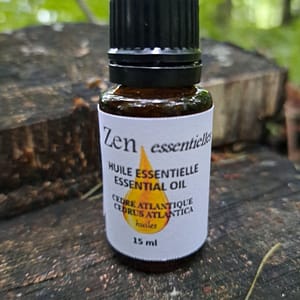 Cèdre de l'atlas (Cedrus Atlantica)