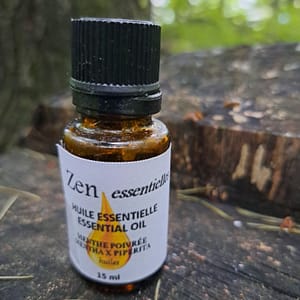 Menthe poivrée (Mentha x piperita) Qualité alimentaire