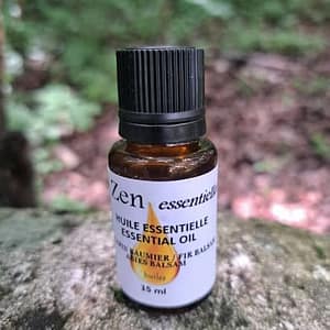 Sapin Baumier (Abies Balsam)